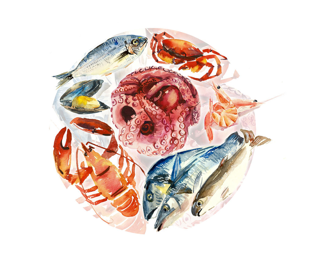 sen-olio-sabina-etichetta-nera-pesce