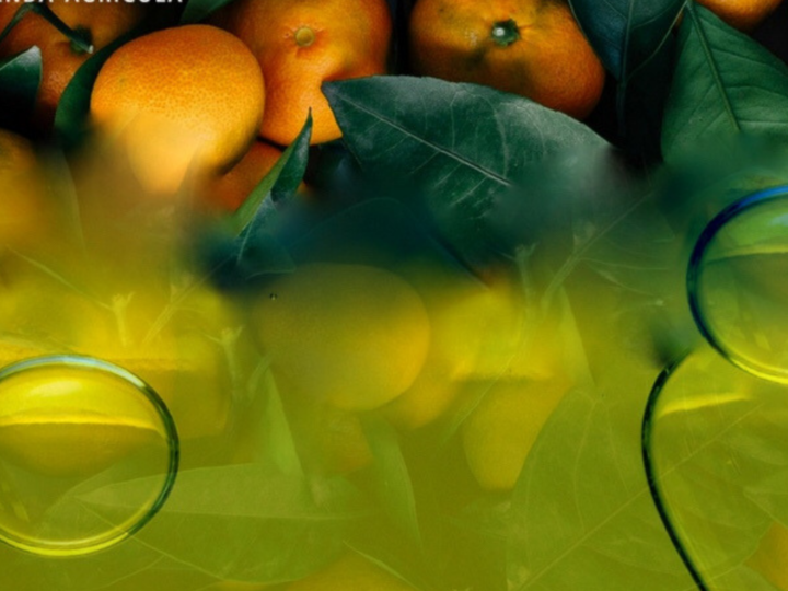 Olio aromatizzato, quale scegliere e perchè